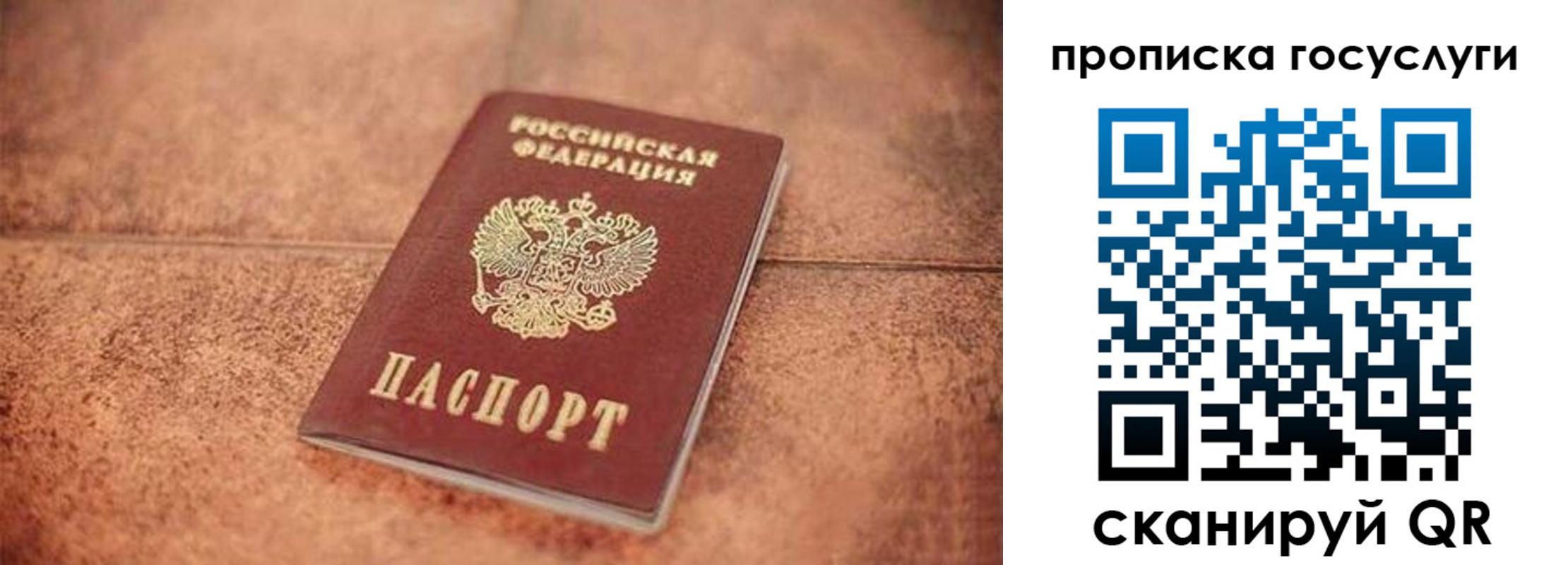 прописка законно в Лосино-Петровском